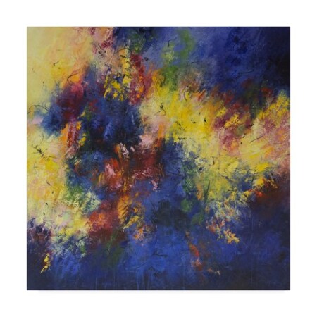Aleta Pippin 'Color Burst 2' Canvas Art,24x24